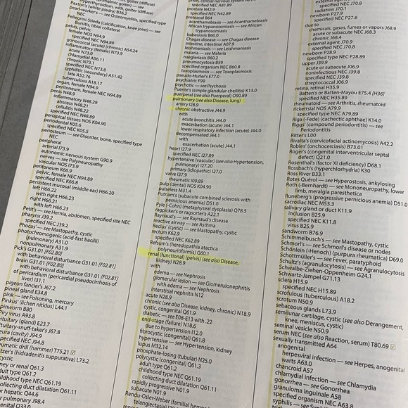 ICD-10-CM and HCPCS Books 2019 - Picture 7 of 7